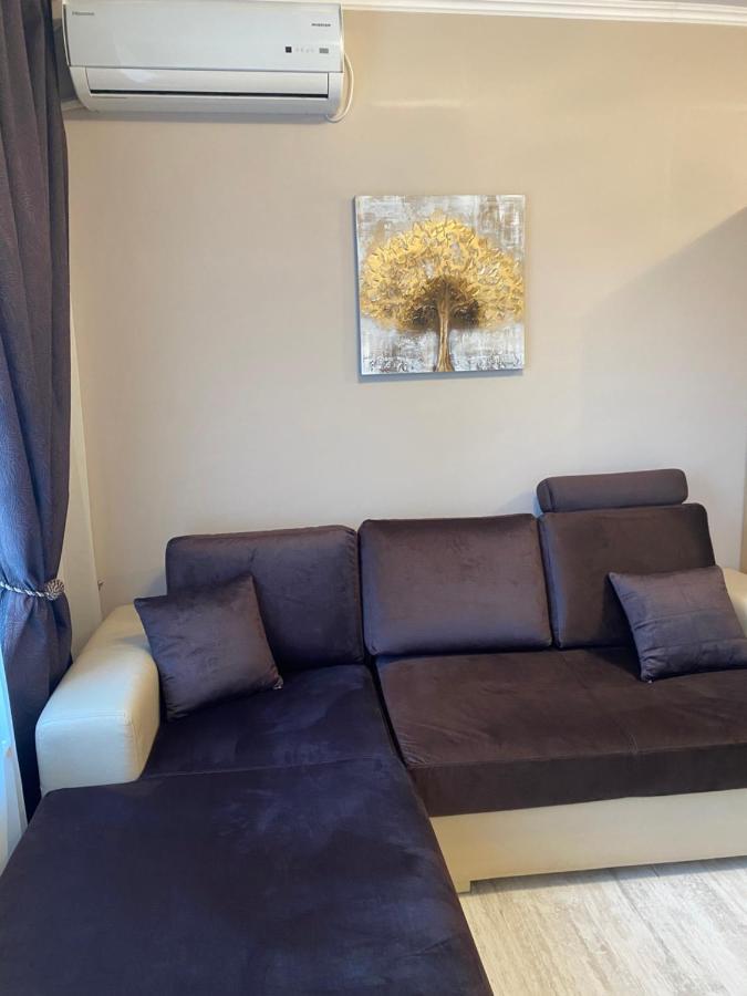 Iva Luxury Apartament ルセ エクステリア 写真